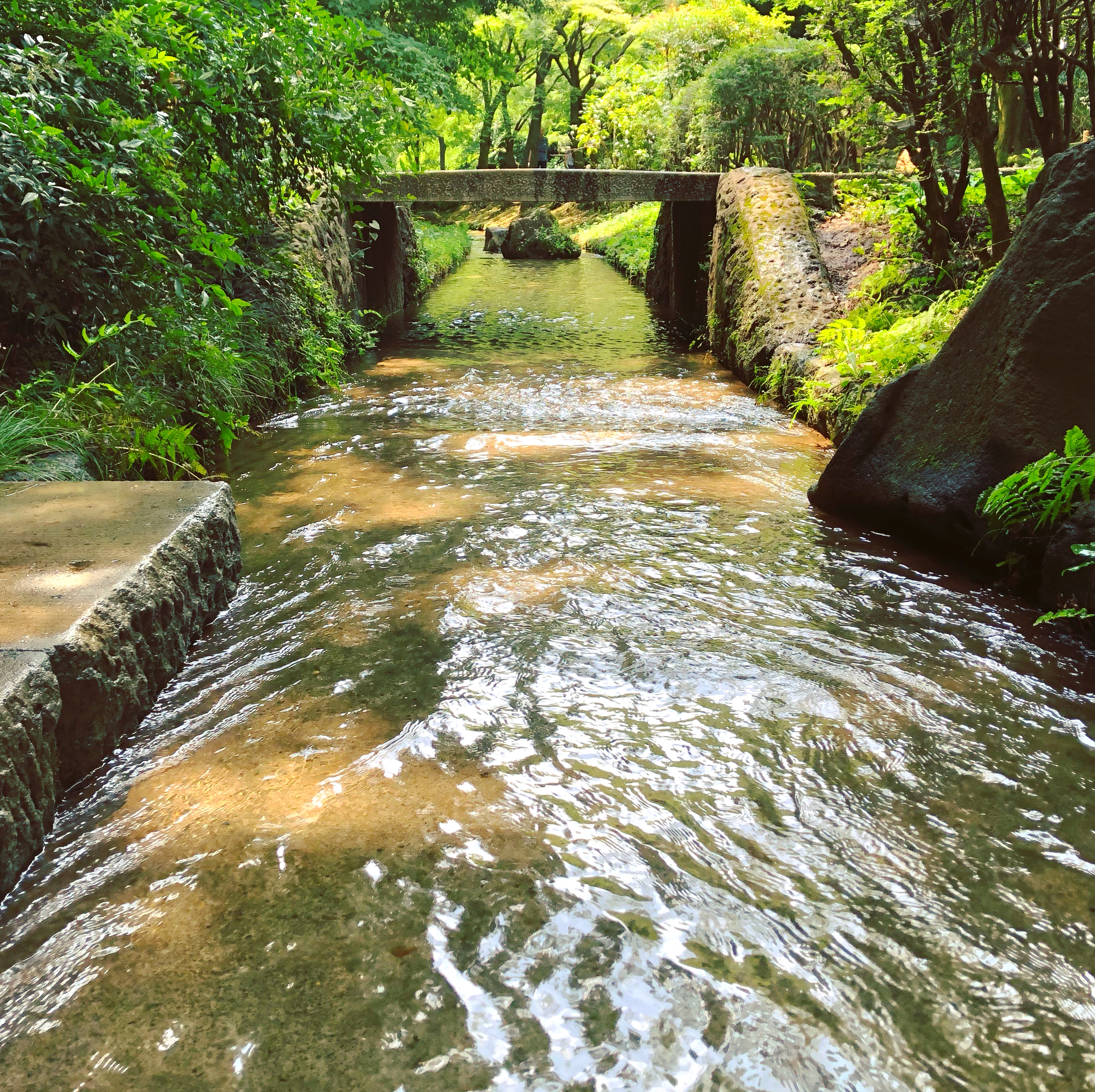 水遊び場